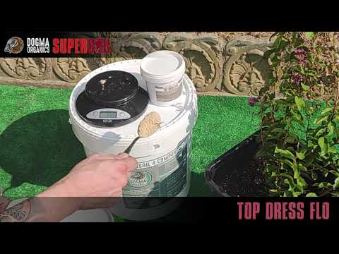 Top Dress Flo - Dogma Organics