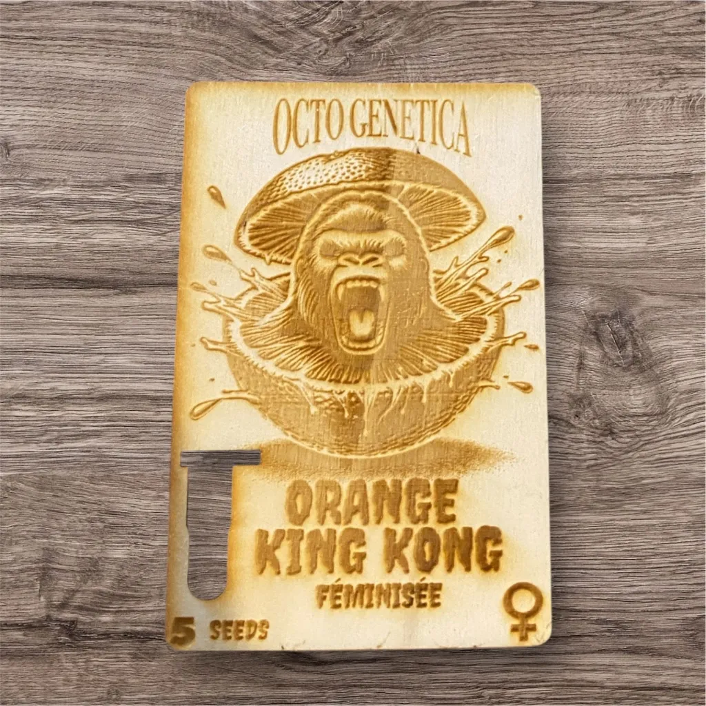 Orange King Kong2.webp