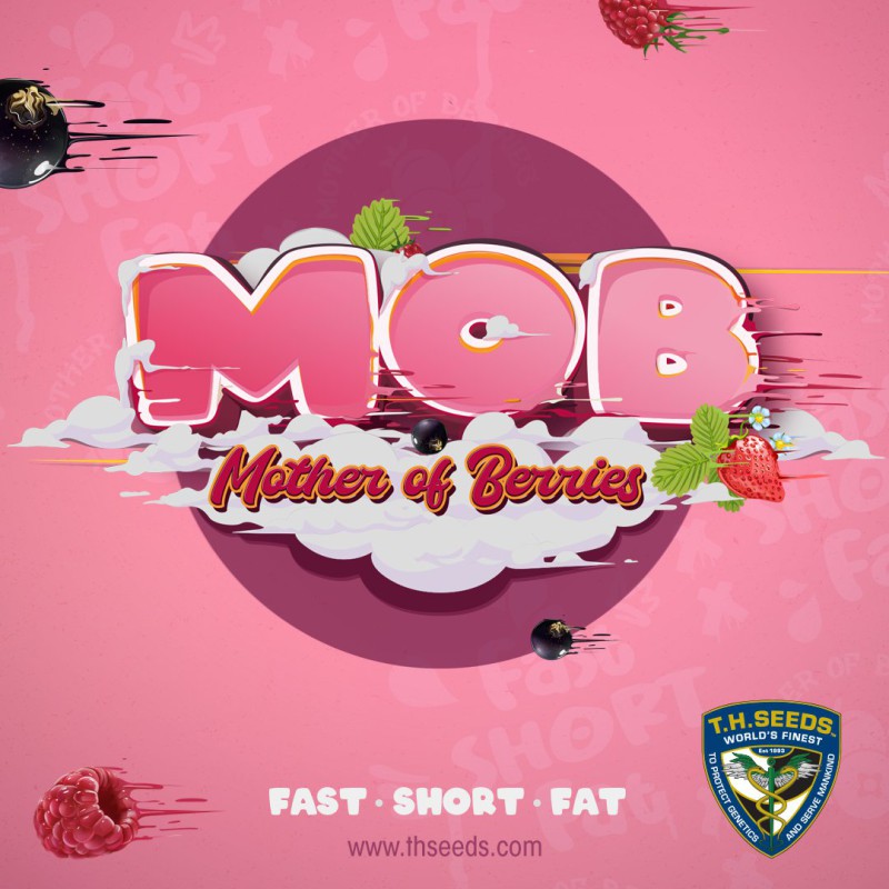 M.O.B Fem