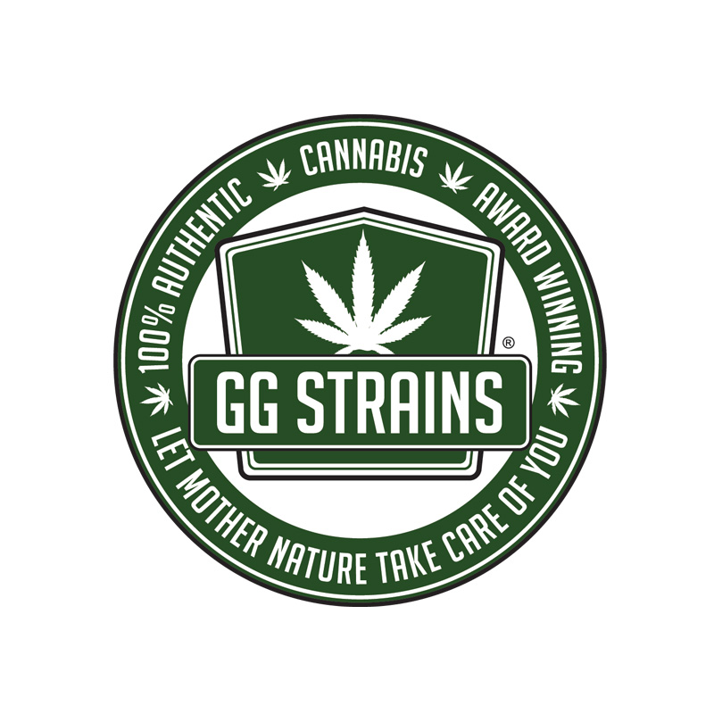 Original Gorilla Glue #4 S1              6 Fem Seeds