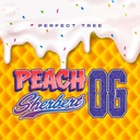 Peach Sherbert OG Fem