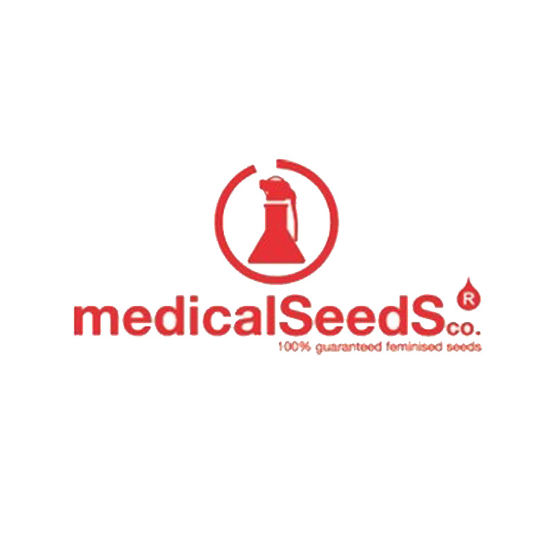 Mendocino Chanel Kush Fem (3 seeds)