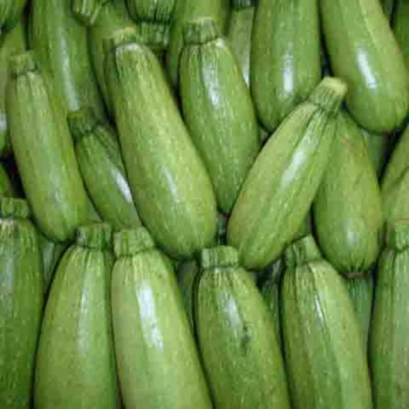 Courgette Bolognese - Ovale