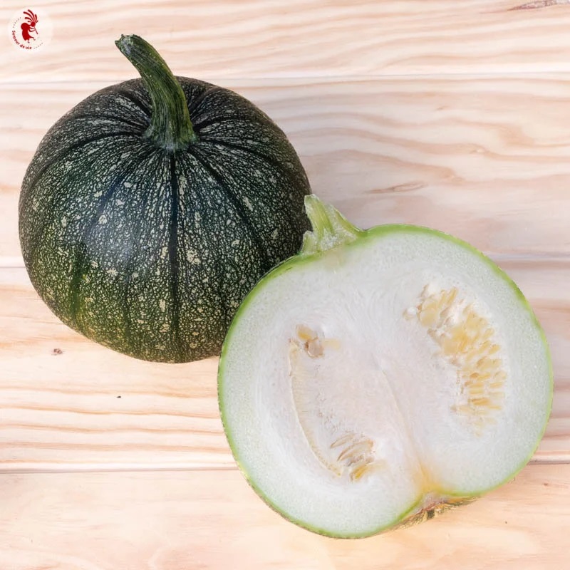 Courgette de Nice - Ronde