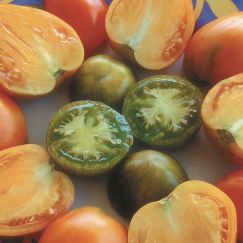 Tomate Orange Mi-Saison Orange Strawberry