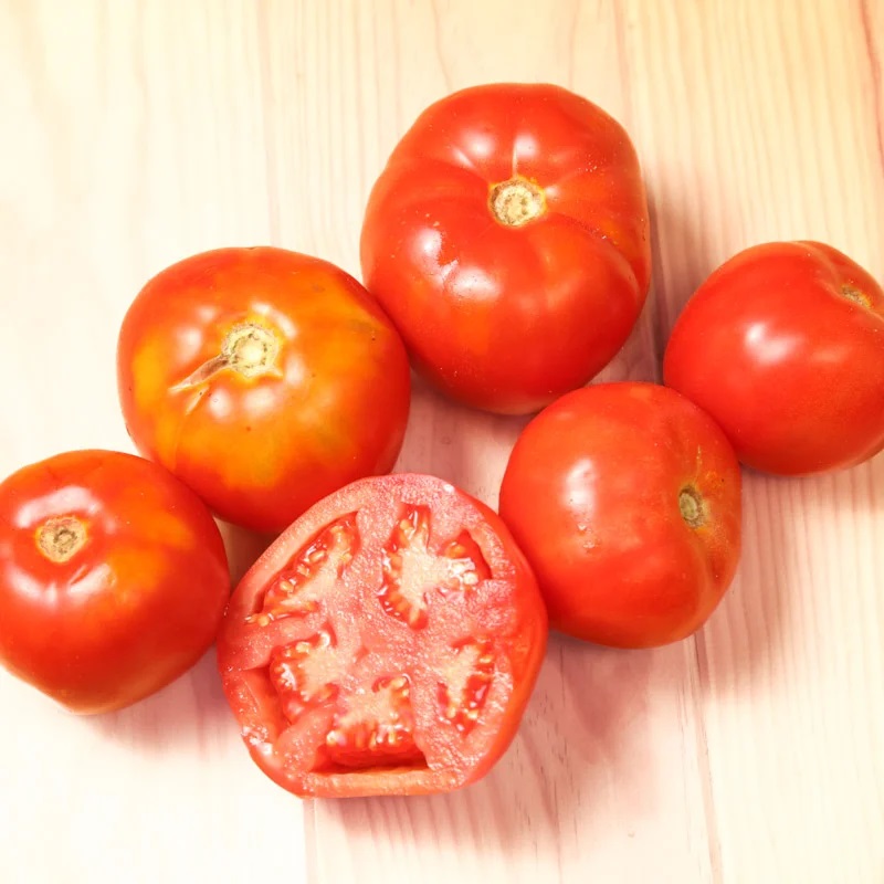 Tomate Rouge Précoce Amateur’s Dream