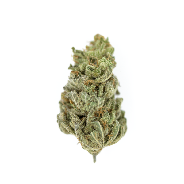 Gelato (Indoor)
