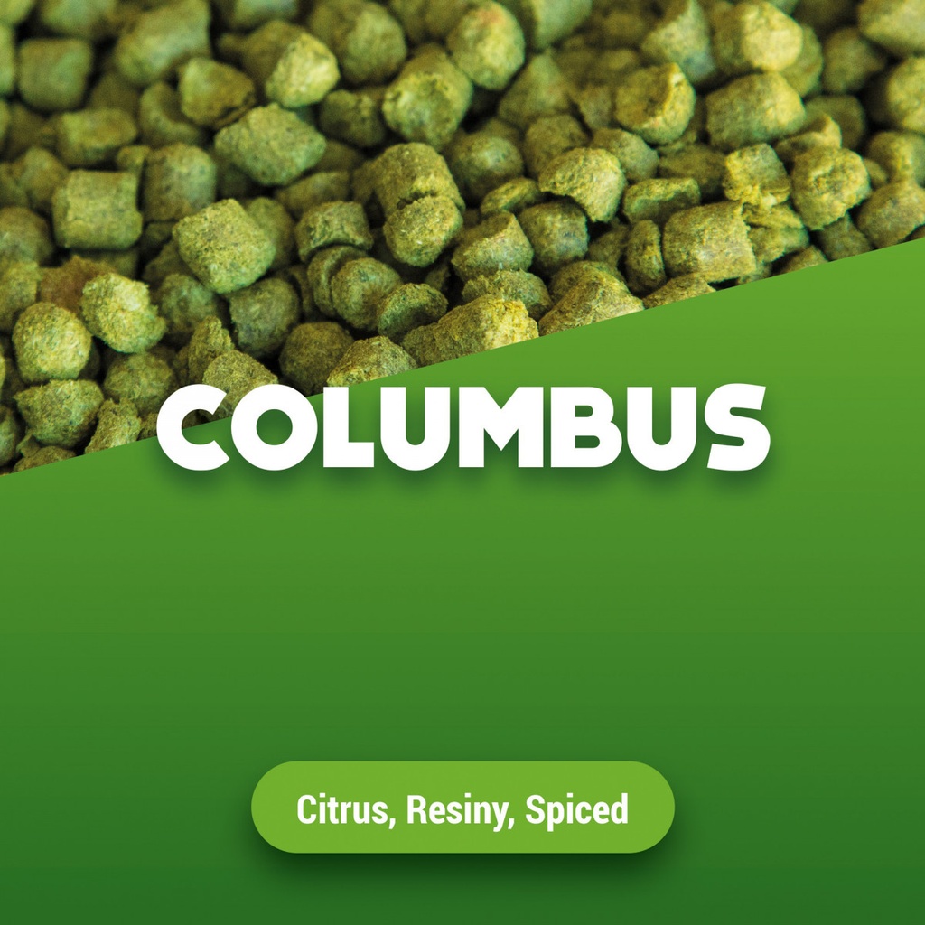 Houblon ALSACE COLOMBUS 19