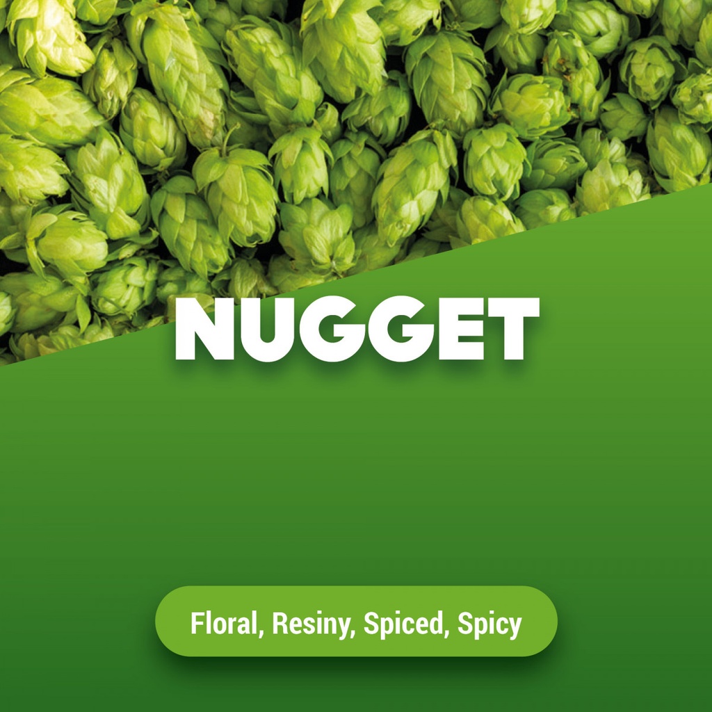 Houblon NUGGET ALSACE
