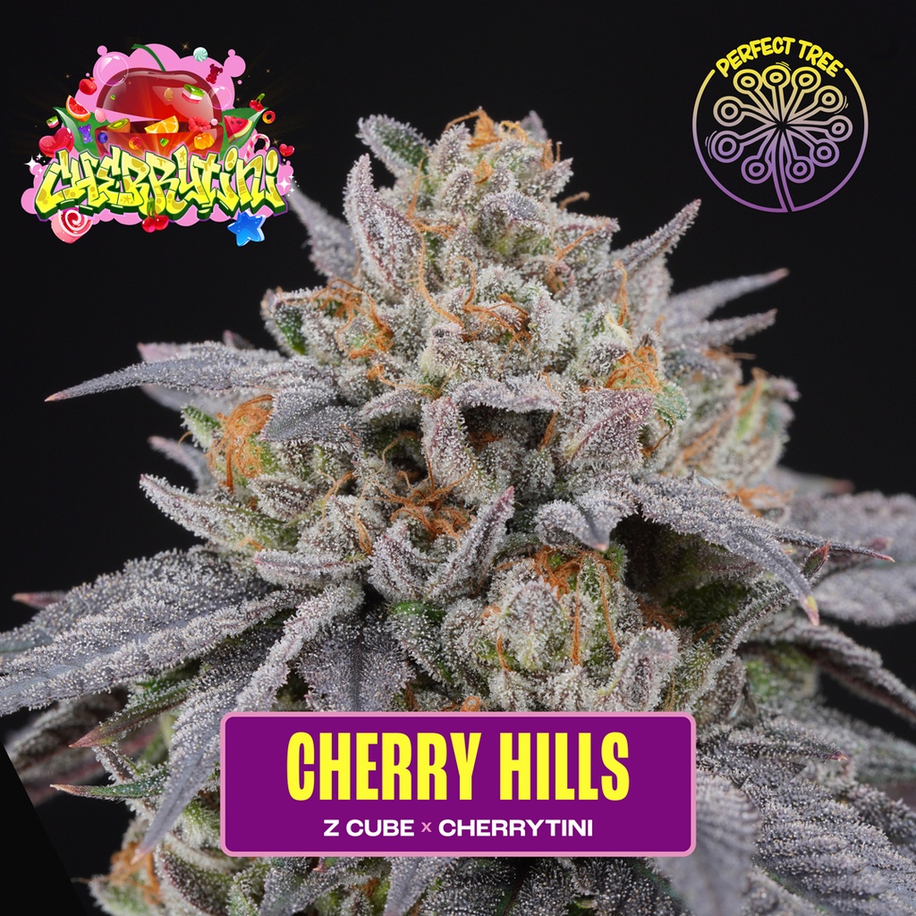 Cherry hills Fem