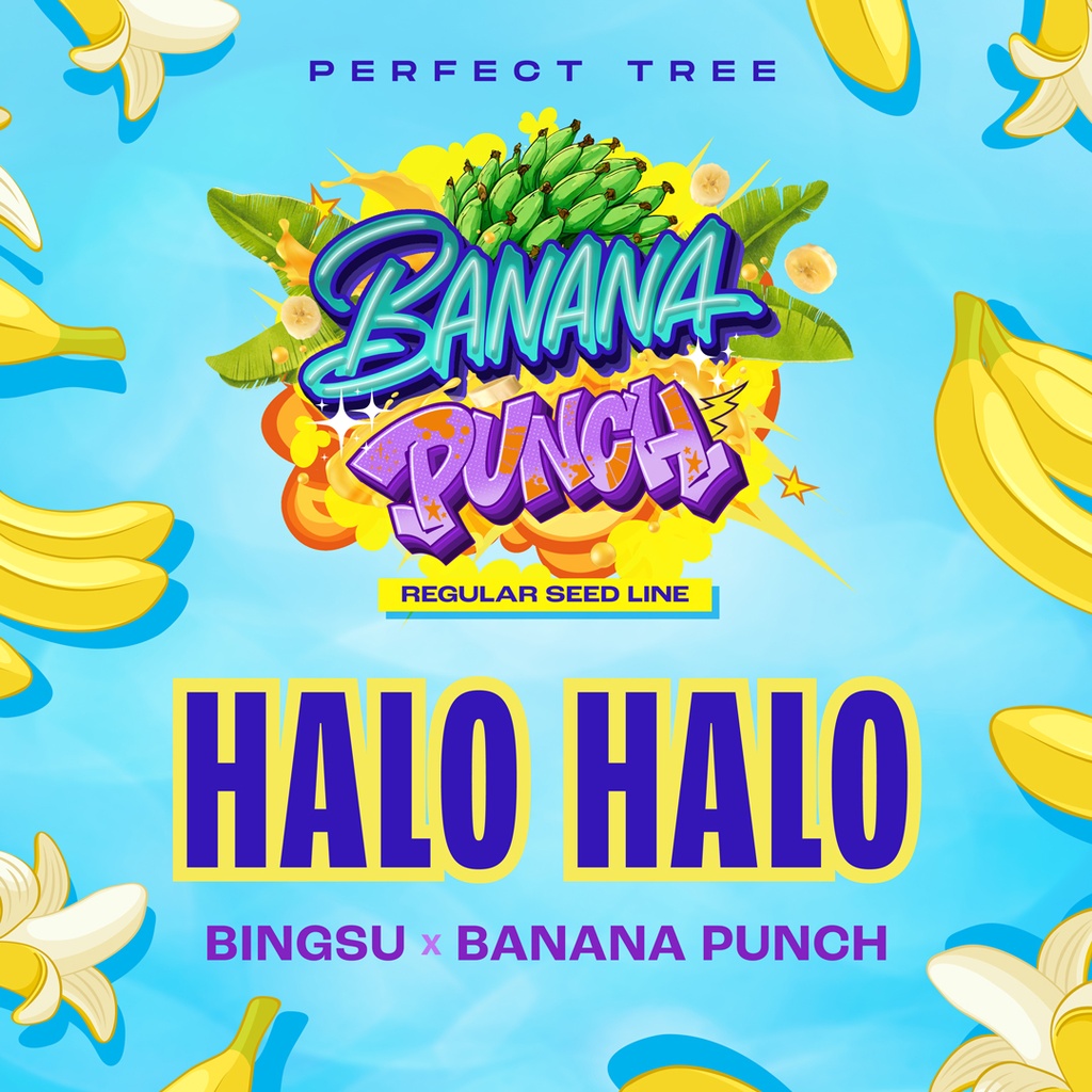 Halo Halo reg