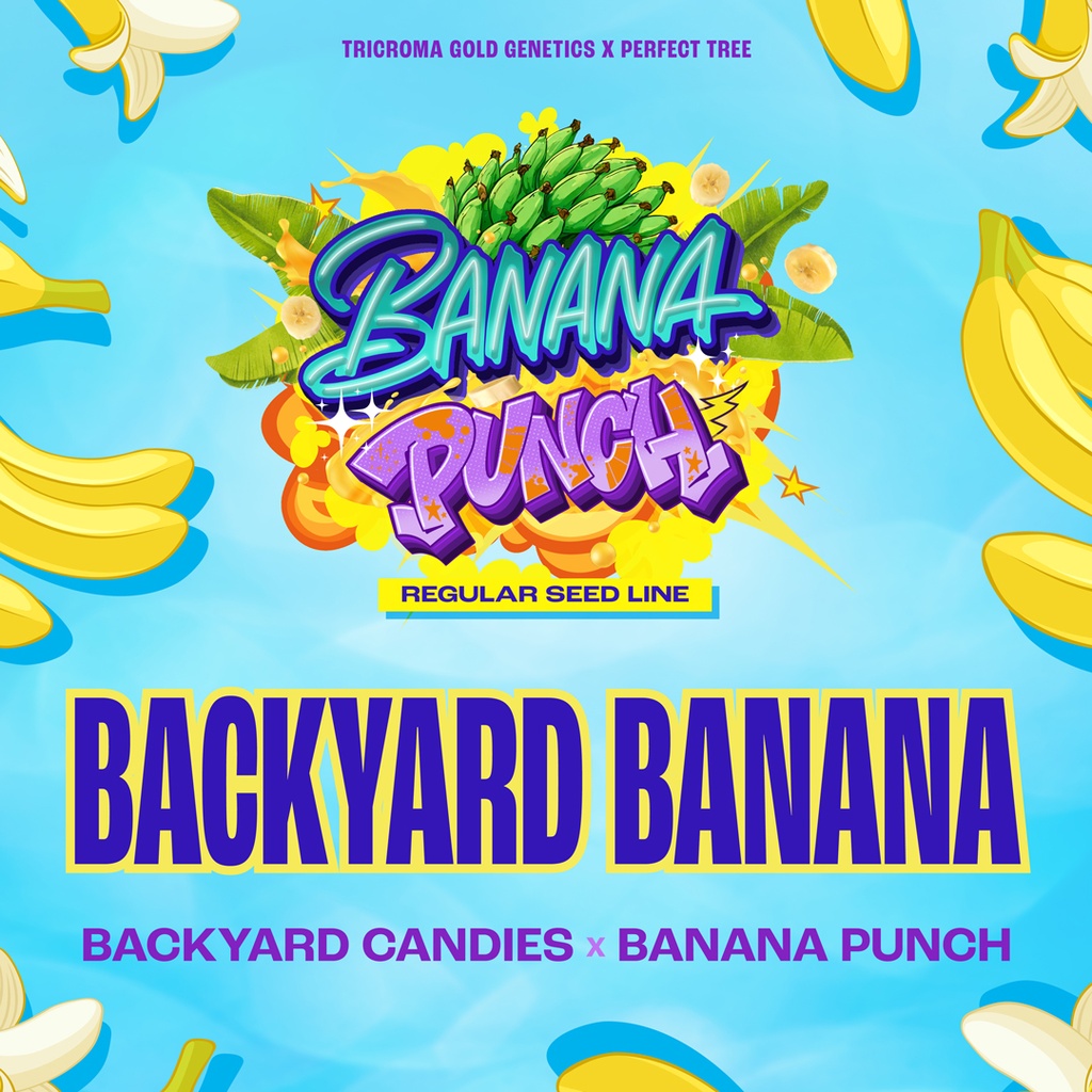 Backyard Banana reg