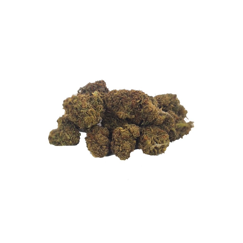 Red Poppy (Outdoor)