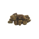Red Poppy (Outdoor)