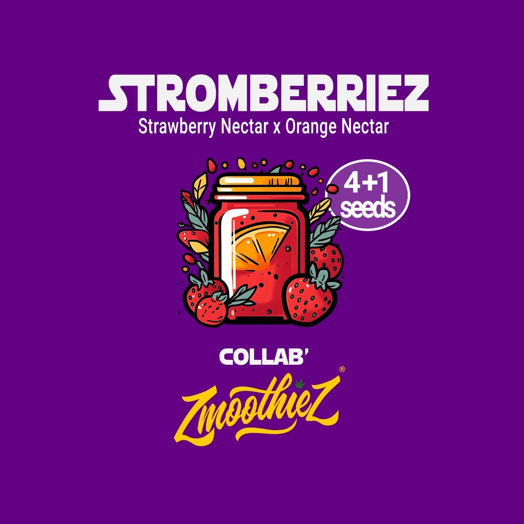 StromberrieZ Fem
