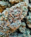 Sour Zkittlez (indoor) 