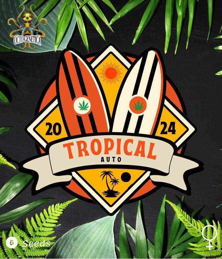 Tropisch Auto