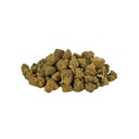  White Snow Small Bud (Indoor)  