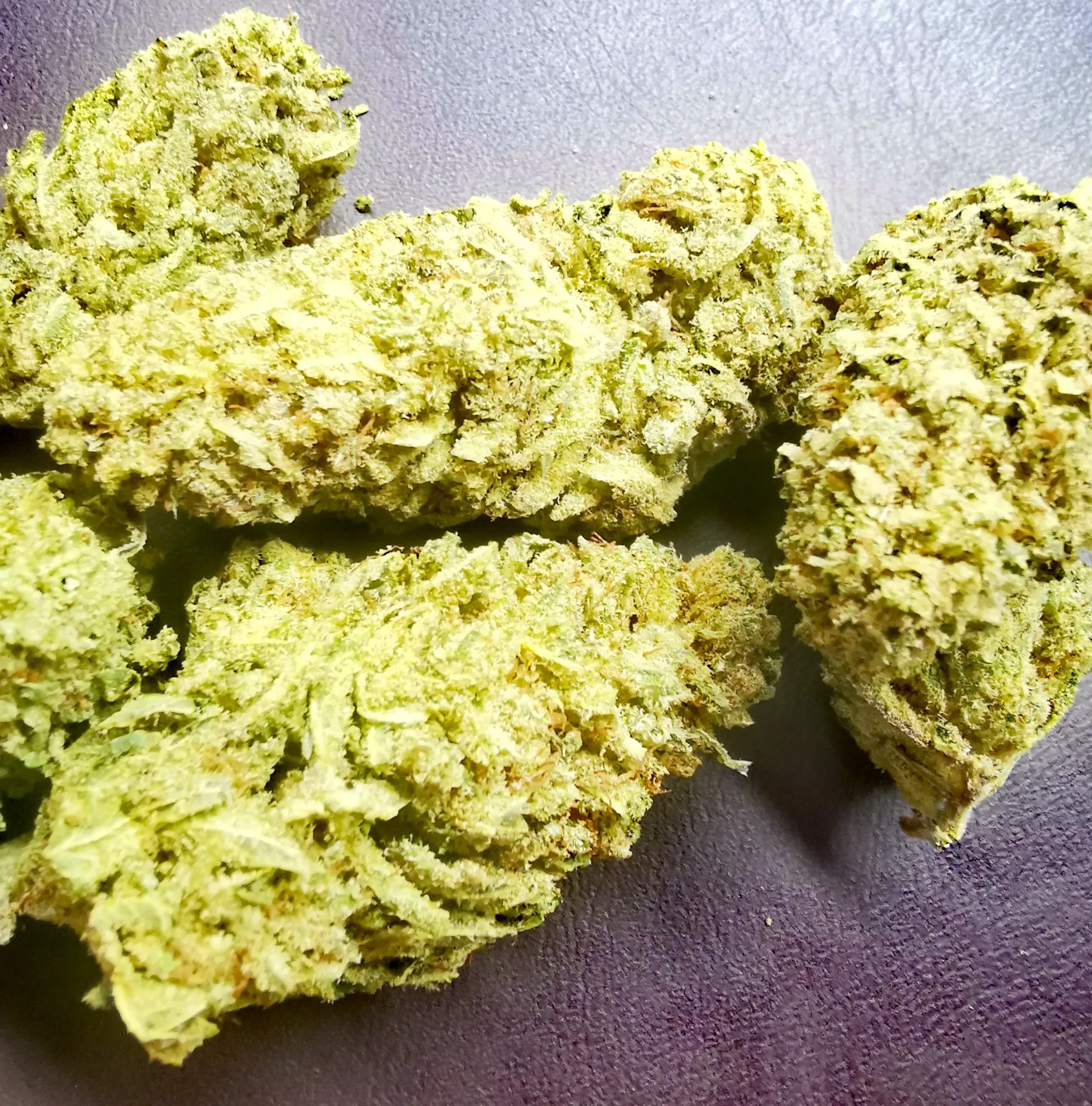 Mango Loco