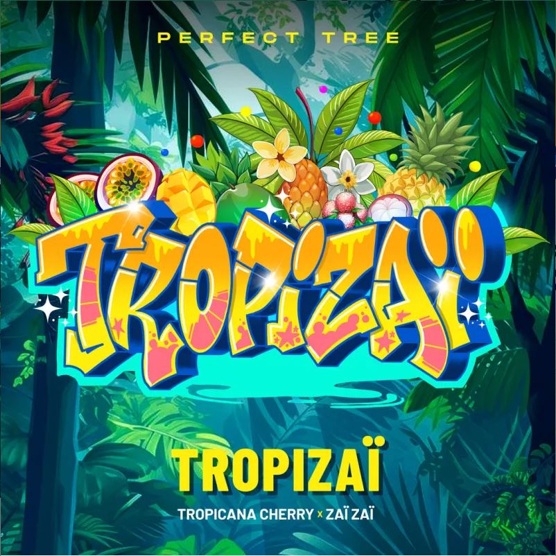 Tropizaï Reg