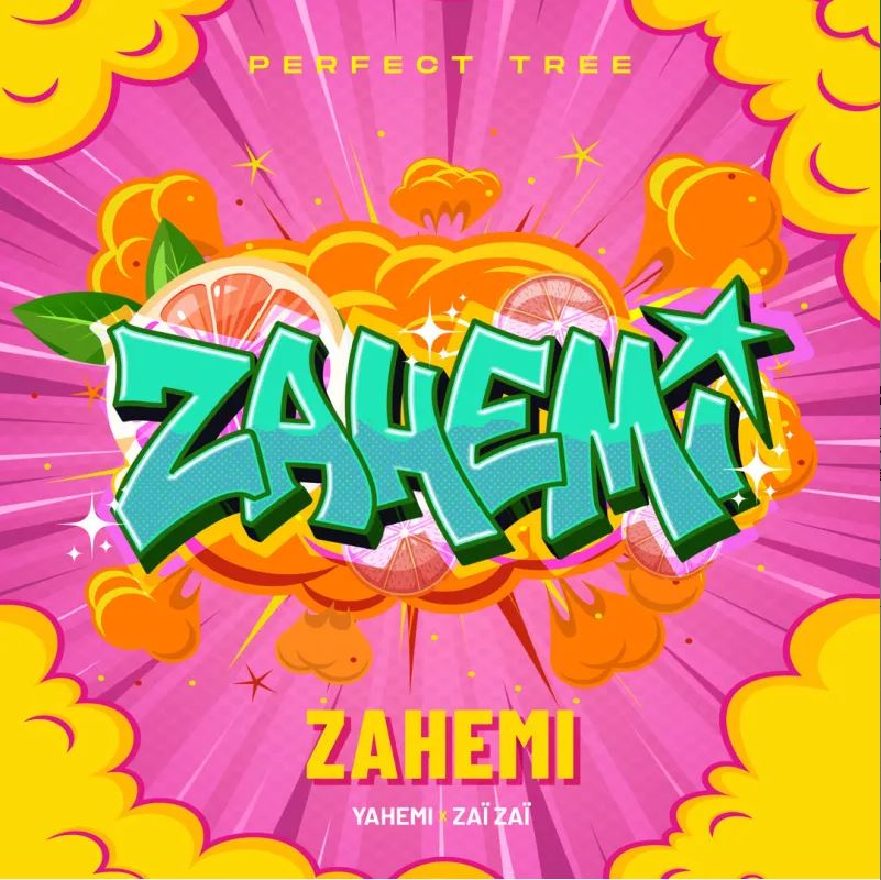 Zahemi Reg