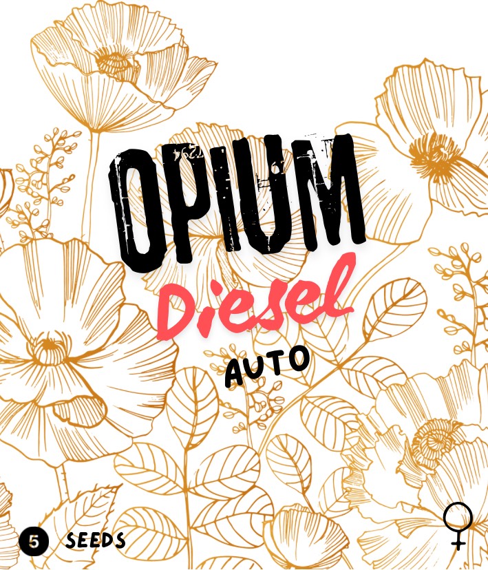 Opium Diesel Auto