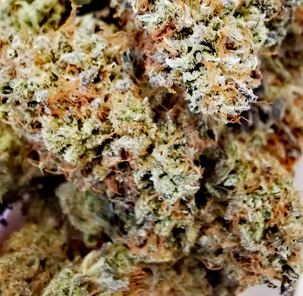 Summer Cream (indoor)