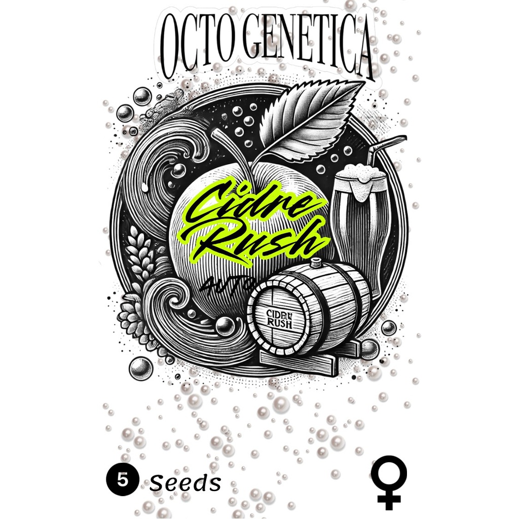 Cidre Rush Auto