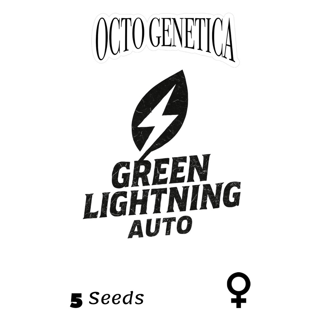 Grüner Blitz Auto