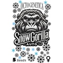 Schnee Gorilla Auto