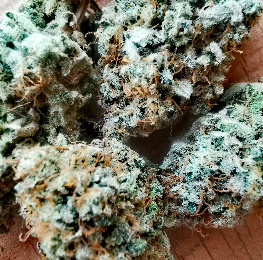 Maracuja (indoor) 