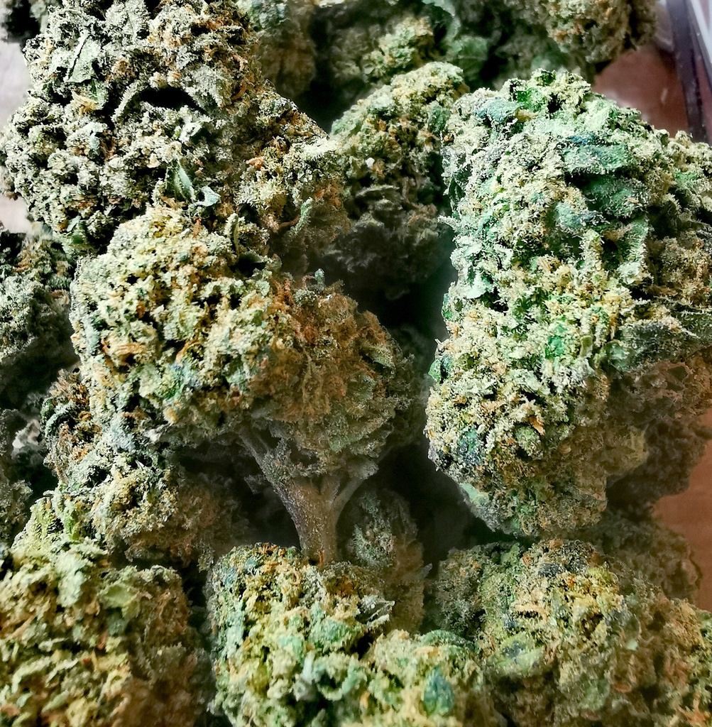 Pineapple  (Greenhouse) 