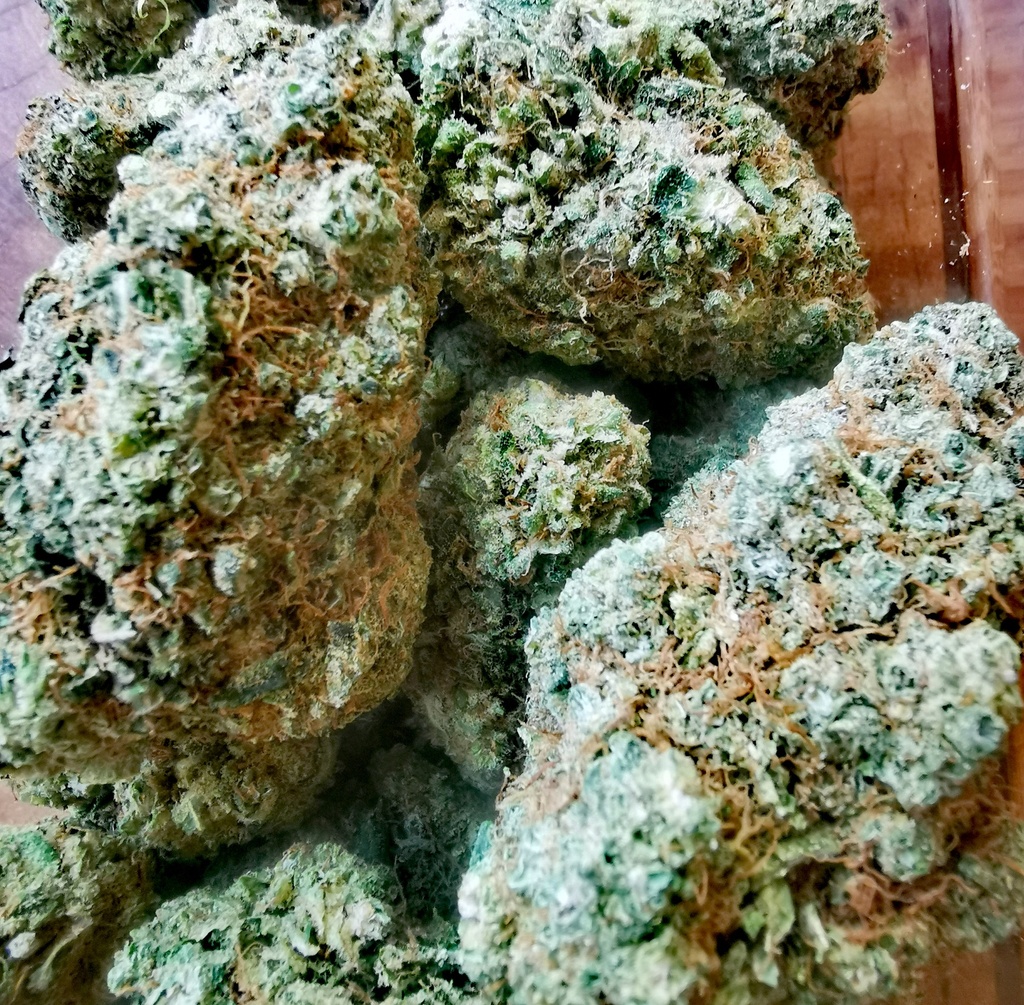 Sour Diesel (indoor) 