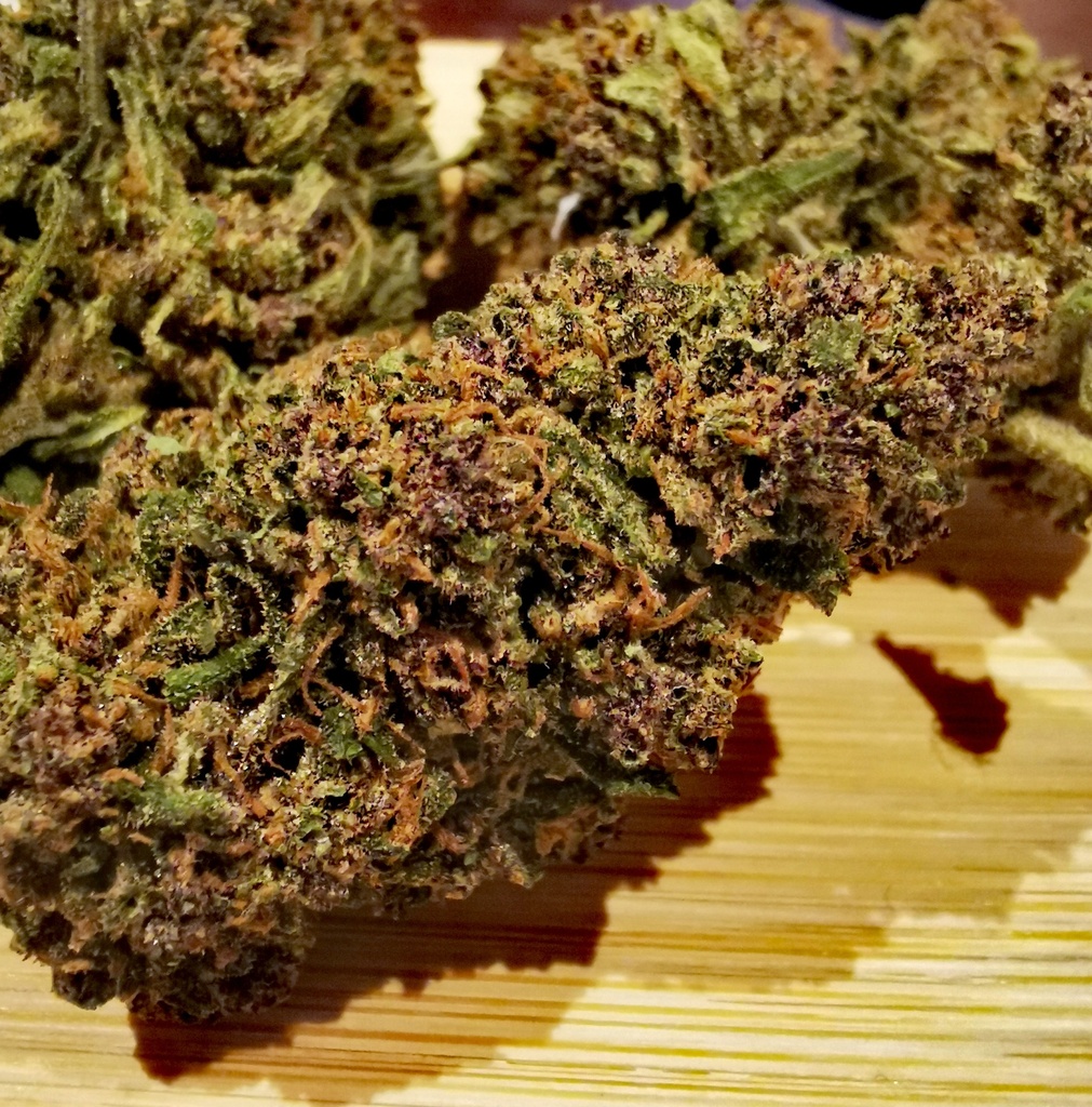 Black Angel (Greenhouse) 