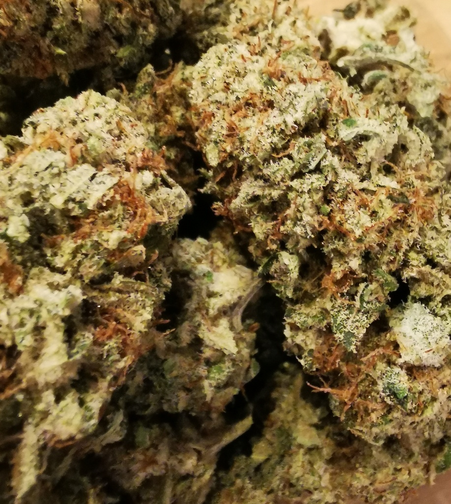 Sweet Paradis (indoor)  