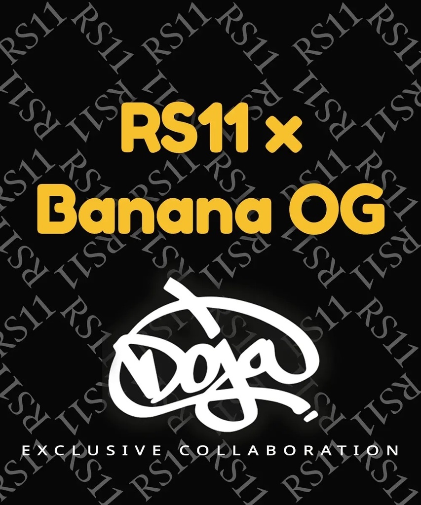 RS11 x Banana OG Fem