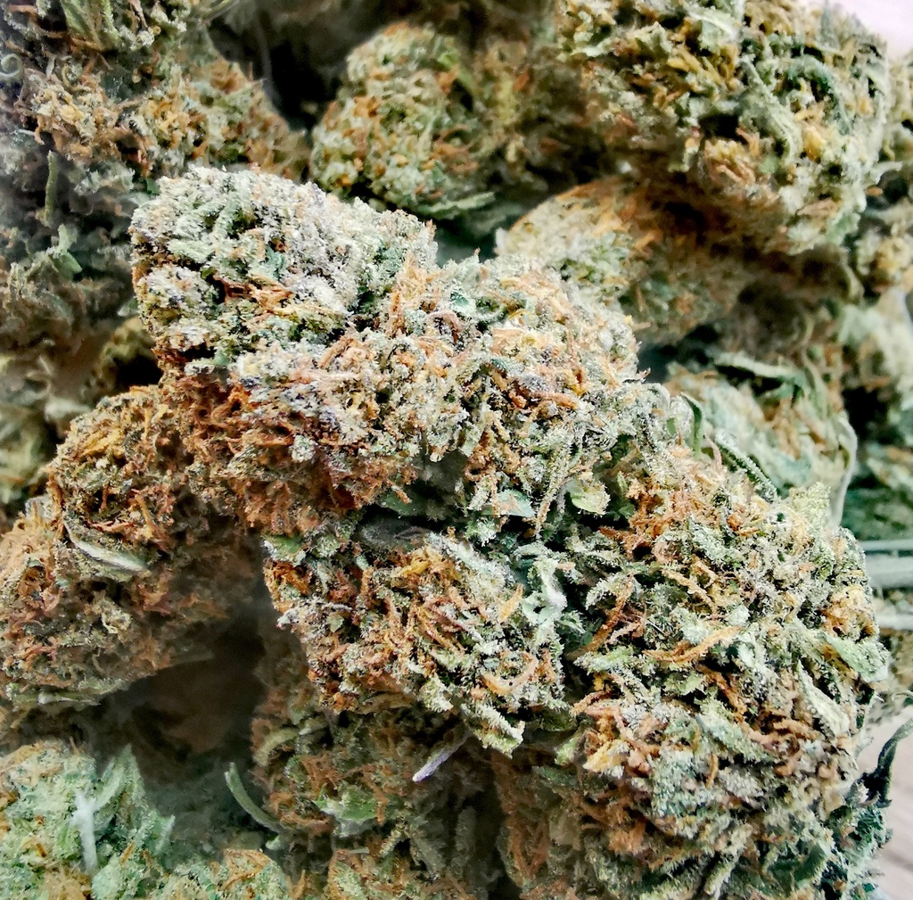 Melon Bowl (Greenhouse)  