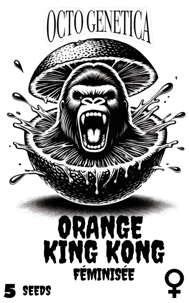 Orange King Kong fem