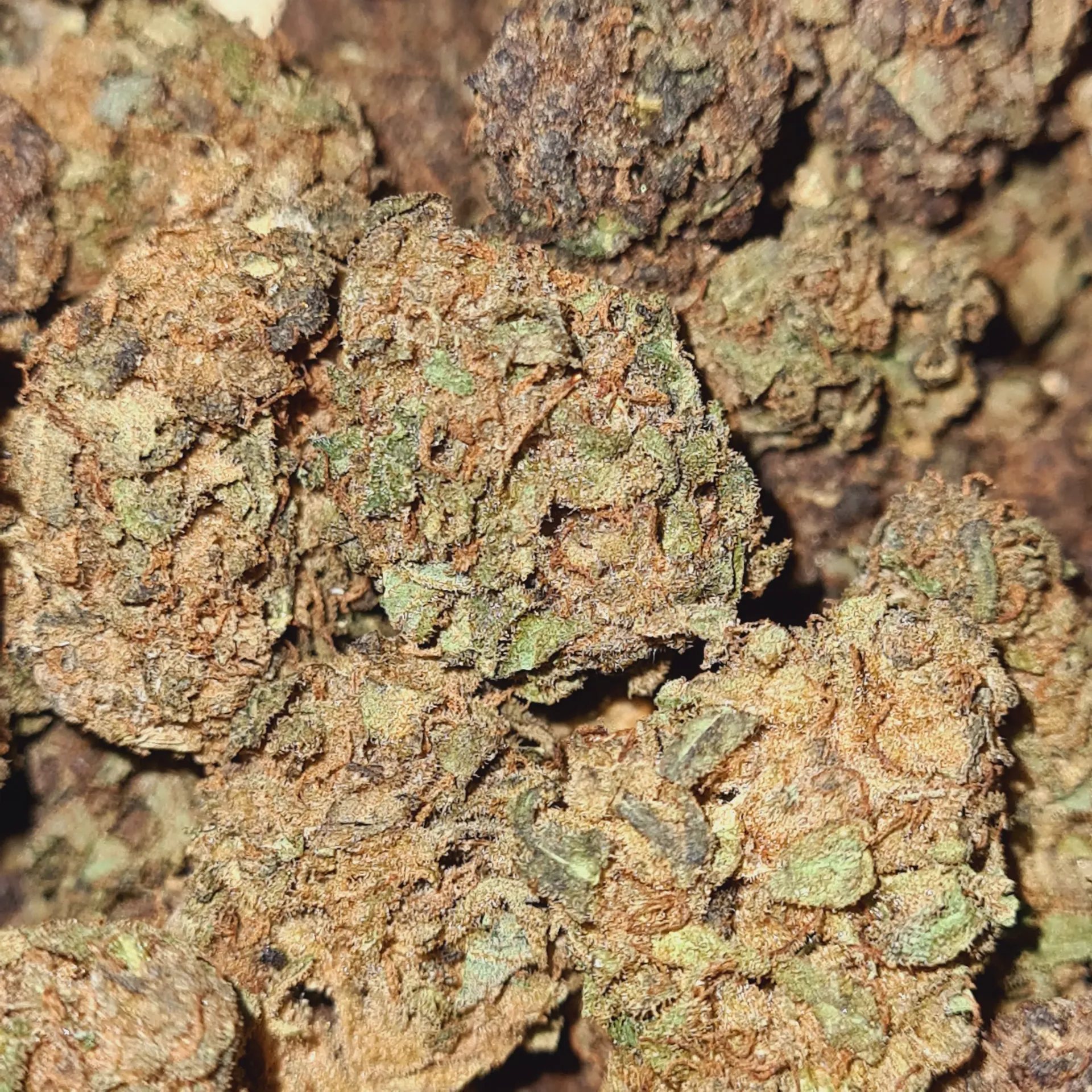 Bretzel OG