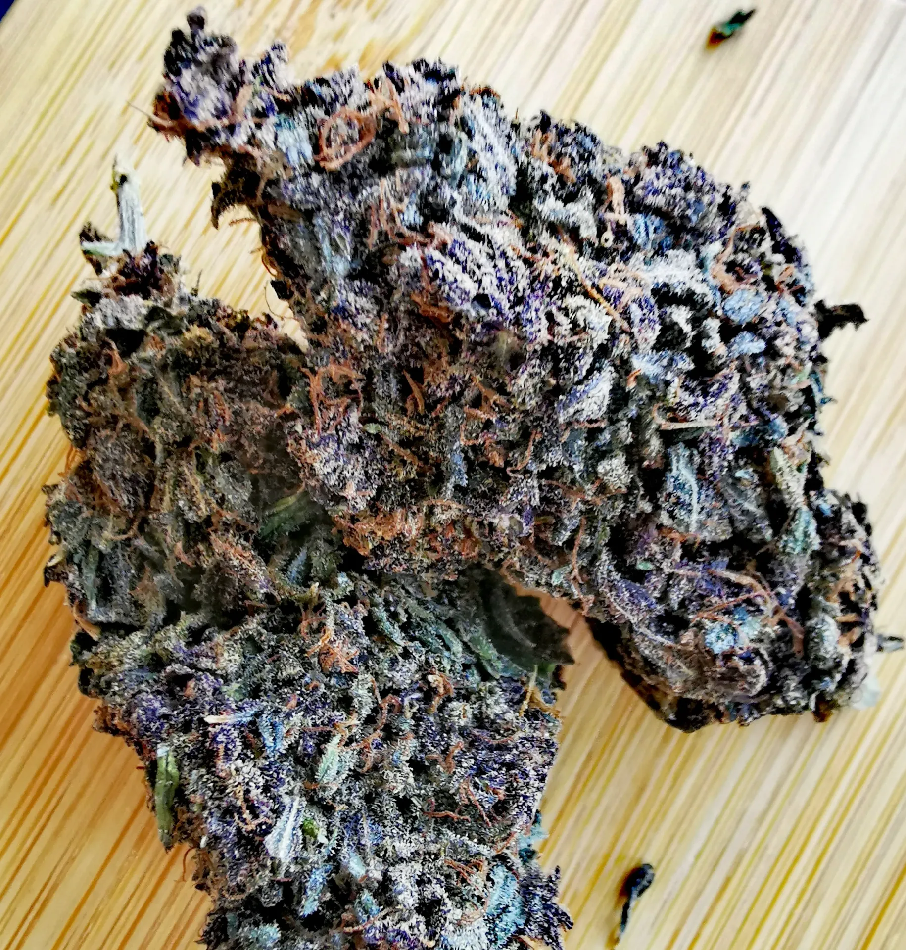 Akatsuki (Indoor)