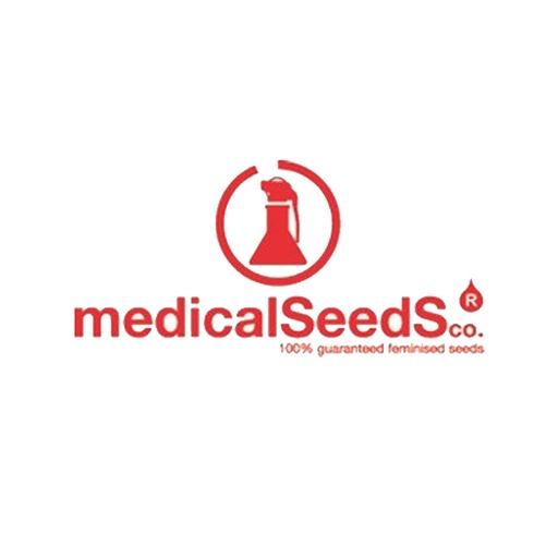 Mendocino Chanel Kush Fem