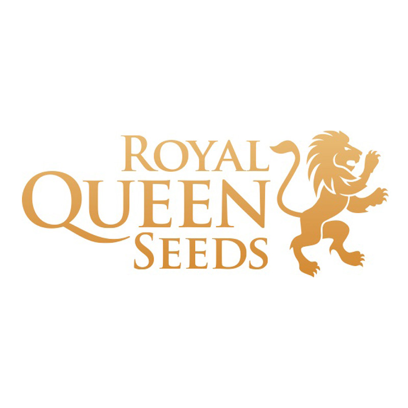Royal Gorilla Fem