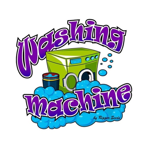 Washing Machine Fem