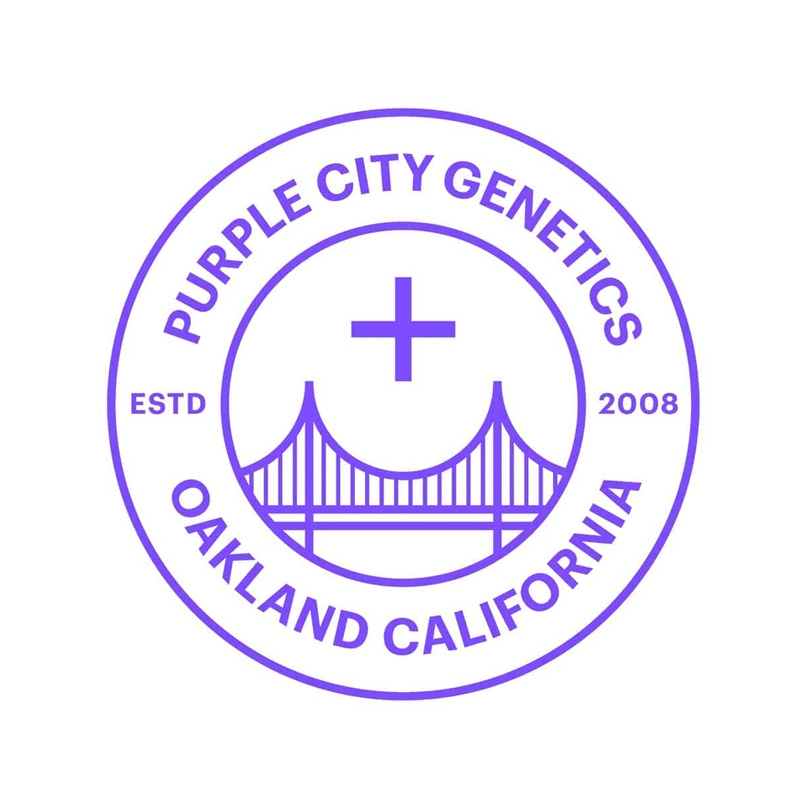 Gmo x Strawnanna Fem