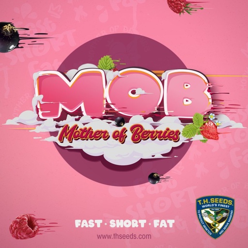 M.O.B Fem