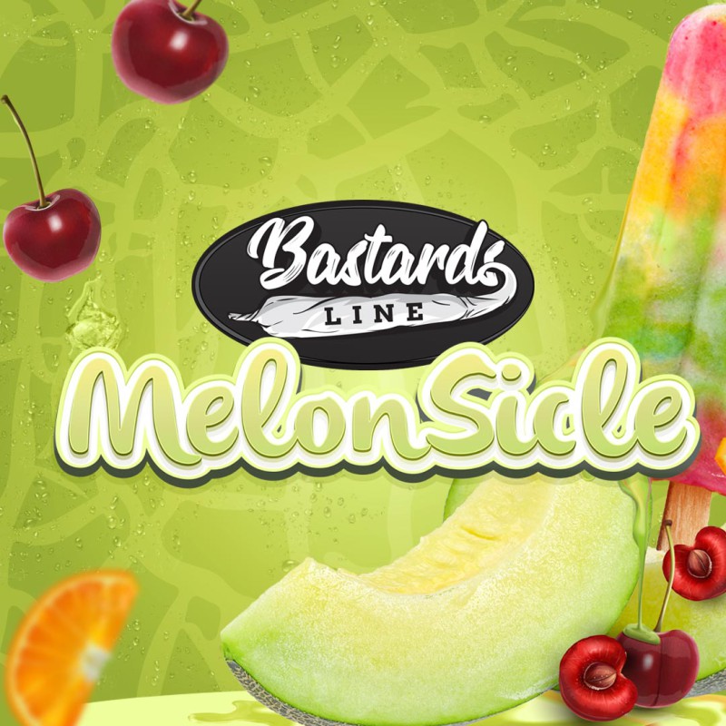 MelonSicle Fem