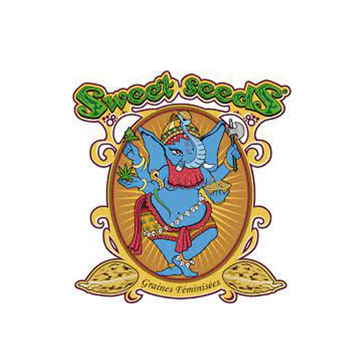 Mimosa Bruce Banner XL Auto