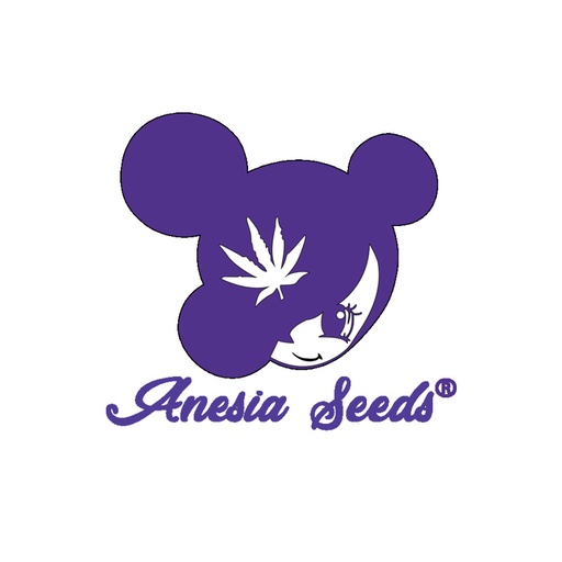 Nova OG Fem