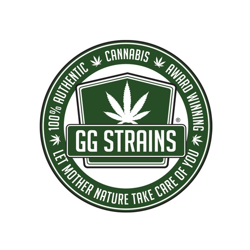Original Gorilla Glue #4 S1              6 Fem Seeds