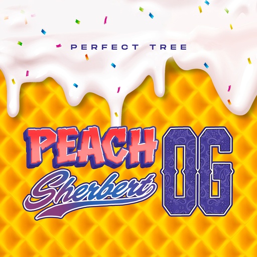 Peach Sherbert OG Fem